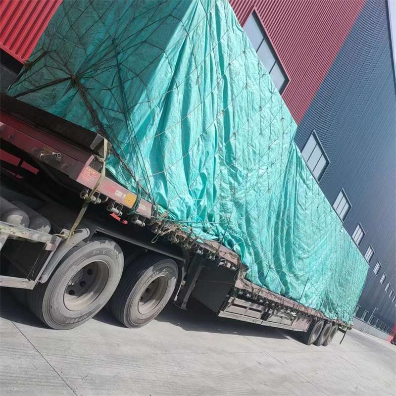 东阿县钦州市物流运输：多元服务与高效线路探索